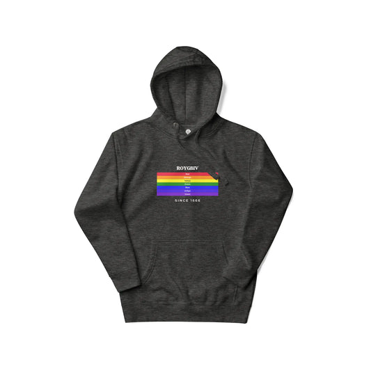 Charcoal Heather unisex hoodie featuring a colorful ROYGBIV rainbow graphic from Solar Spectrum Press.