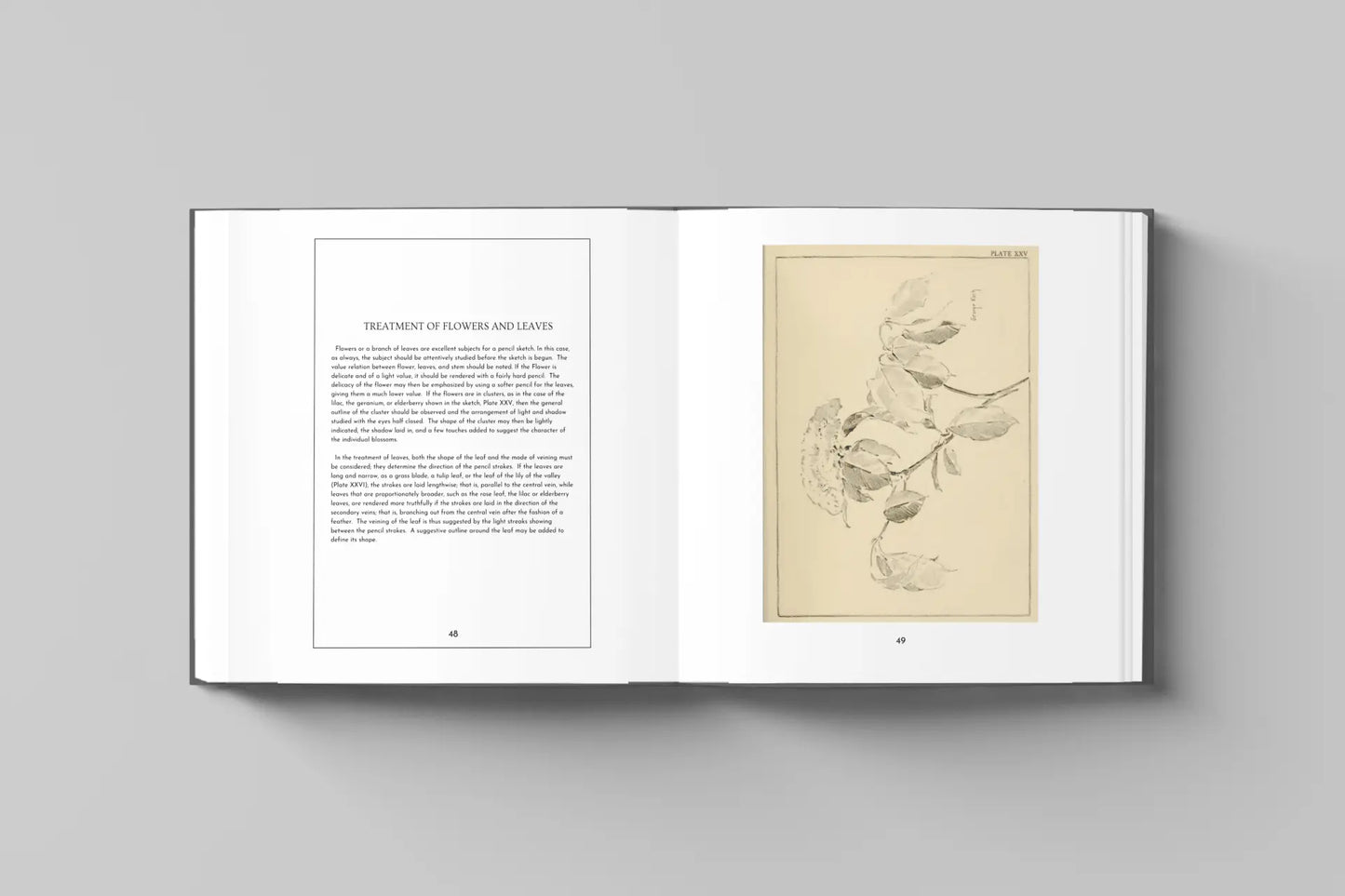Pencil sketch drawing of leaves and flowers from the revised paperback edition of Pencil Sketching book by Solar Spectrum Press.