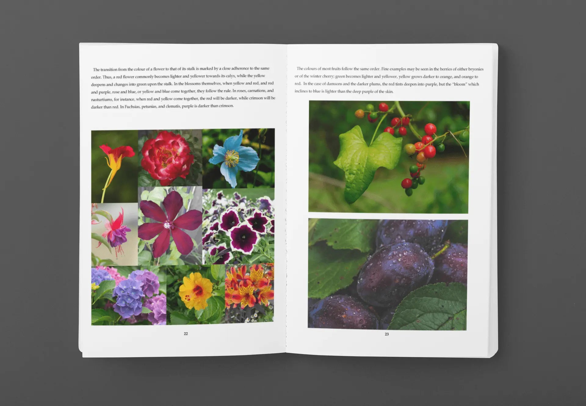 Hardcover edition of "Suggestions for the Study of Colour" book by Solar Spectrum Press, featuring a colorful cover design.