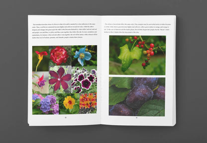 Hardcover edition of "Suggestions for the Study of Colour" book by Solar Spectrum Press, featuring a colorful cover design.