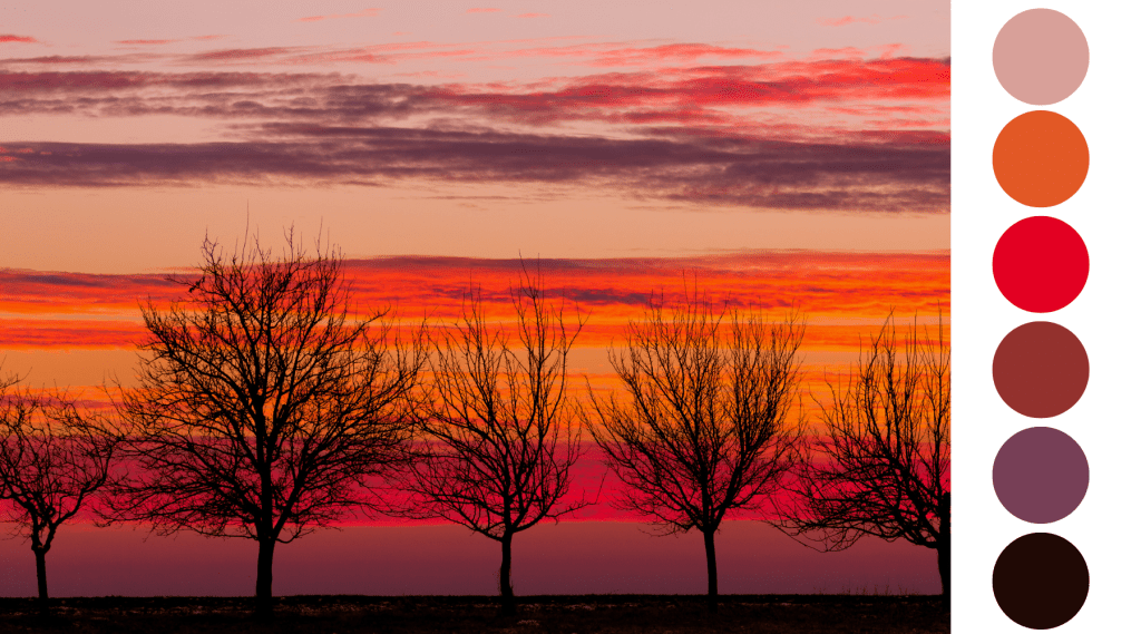 The Natural Order of Color in a flaming sunset