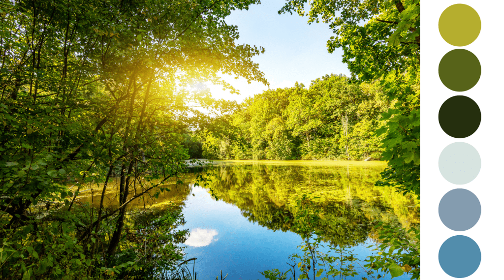 Forest Pond | Examples of The Natural Order of Color