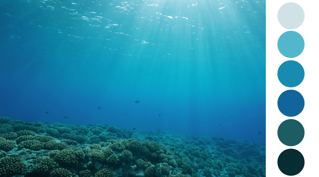 underwater scene | the natural order of color